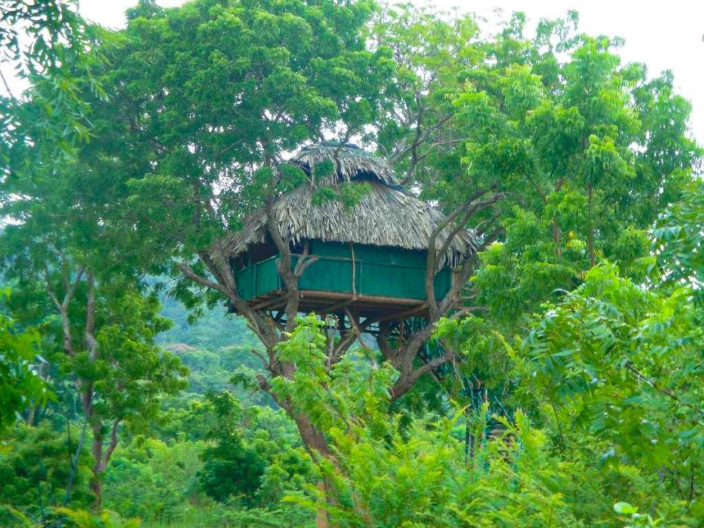 Yala Beddegama Eco Hotel Kataragama Exterior photo
